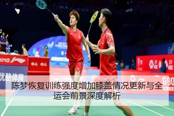 陈梦恢复训练强度增加膝盖情况更新与全运会前景深度解析